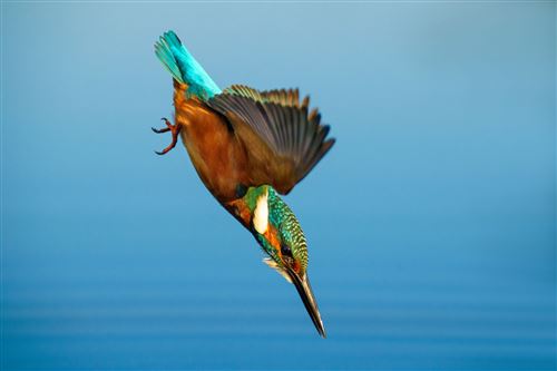 Objetivo híbrido Sony FE 70-200mm f/2.8 GM II blanco