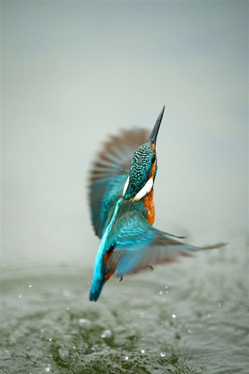 Objetivo híbrido Sony FE 70-200mm f/2.8 GM II blanco