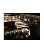 Sulpie Evolution Teñido Negro